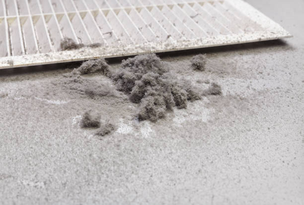 Best HVAC Maintenance and Cleaning  in Avis, PA