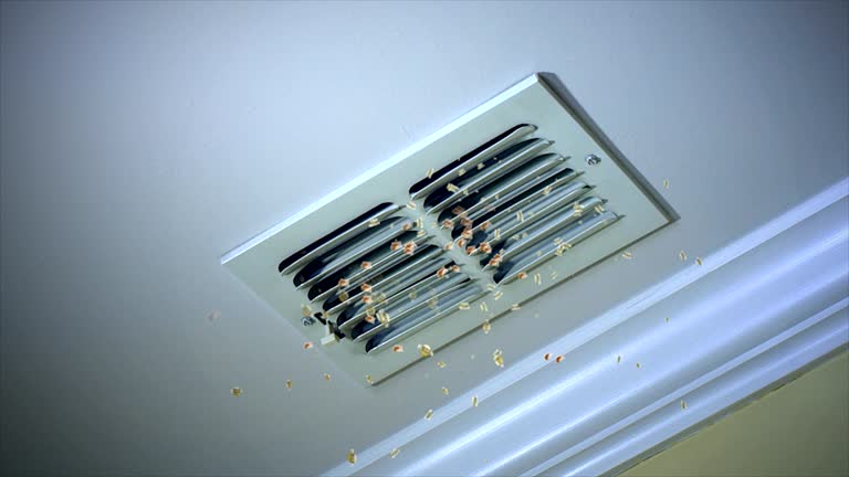 Best Local Air Duct Cleaning Services  in Avis, PA