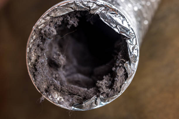 Best Duct Cleaning for Offices  in Avis, PA