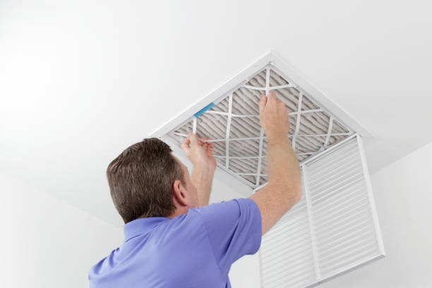Best Local Air Duct Cleaning Services  in Avis, PA